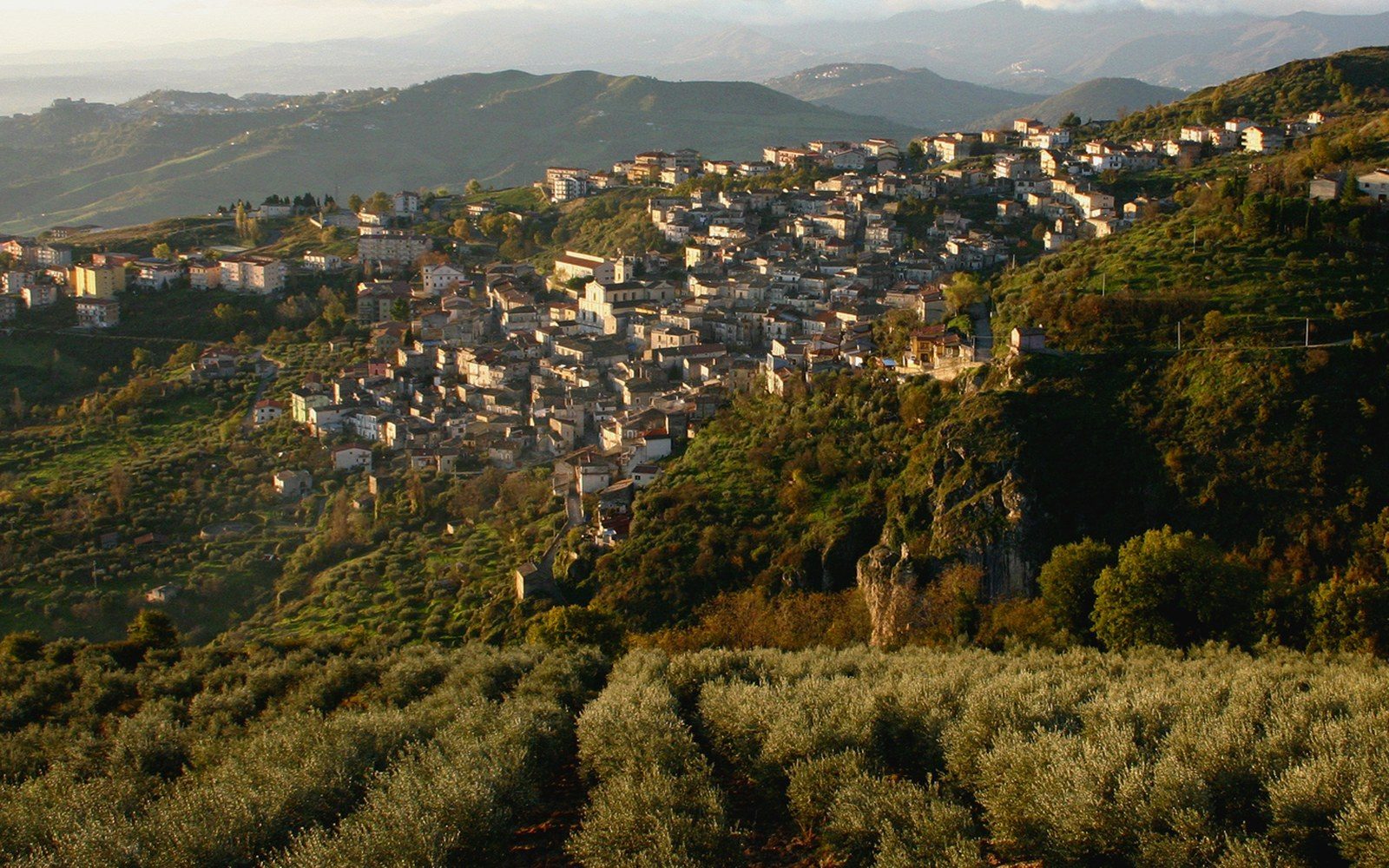 A hill town of pale houses above terraced olive groves in evening light